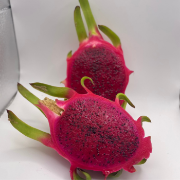 Dragon Fruit 100% Organic High Quality Healthy Viet Tropical Fruit Carton Box Vietnamese Manufacturer 6