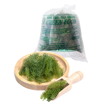 Organic Fresh Sea Grapes Green Food From Viet Nam/Fresh Seaweed - GCAP VN Supplier Vietnam 1