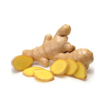 Fast Delivery Fresh Ginger Natural Fresh High Nutrients Organic Natural Yellowish Vietnam Manufacturer 4