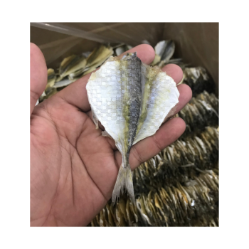 Dried Yellow Stripe Trevally Fish Dried Fish Packaging Hot Selling Export Ly Huynh Tasty Vacuum Pack Vietnam Manufacturer 1