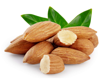 Almond Nuts Cheapest Almonds And Walnuts Sweet Taste Fruits Cheap Price Premium Food Snack Raw Almonds Fruit Dried From Vietnam 2