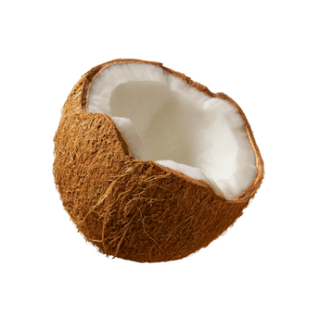 The Best Dry Coconut Used As A Seasoning For Dishes 100% Dried Coconut Organic Packed In Box From Vietnam Manufacturer 7