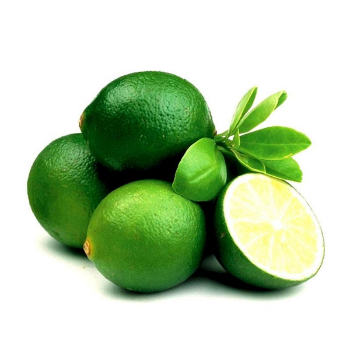 Good Quality Fresh Seedless Lime 100% Natural Organic Good For Health Packed In Box Vietnamese Manufacturer 4