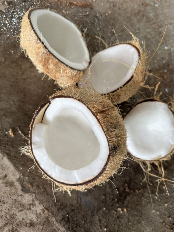 Dried Coconut From Vietnam 100% Fresh Natural Tropical Style Coconut Top Selling Brand Supplier Cheap Price Low MOQ 1