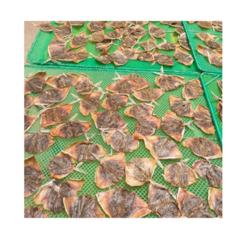 Dried Salted Fish Moon Fish Supplier Export Ly Huynh Tasty Vacuum Pack Made In Vietnam Manufacturer 2