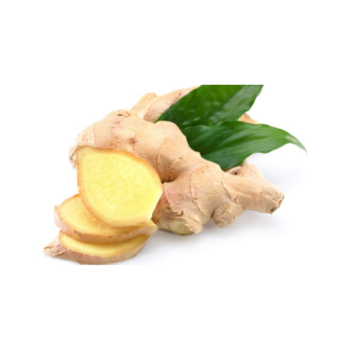 Wholesaler Ginger Keep Dry Or Refrigerated Old Organic Packed In Box Vietnamese Manufacturer 3