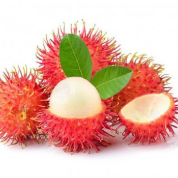 Rambutan Healthy Haccp Fast Delivery Viet Tropical Fruit Customized Packaging Made In Vietnam Manufacturer 5