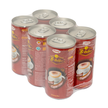 Fast Delivery Cappuccino Coffee Bi-Coffee Brand Iso Halal Haccp Neutral Packed In Can Made In Vietnam Manufacturer 2024 4