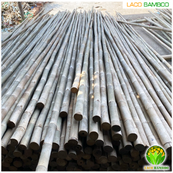 Top Quality Large Bamboo Poles Trading In Bulk For Decor And Construction Packed In Bundles with Good Price 8