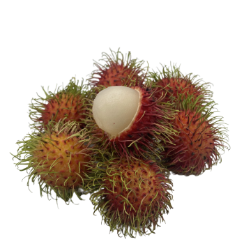 Fresh Rambutan Ready To Ship 100% Organic Good Price Wholesales Fresh Customized Packaging Made In Vietnam Manufacturer 1