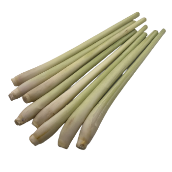 Lemongrass High Quality with HACCP Certificate Free Tax - Spices and Herbs Lemon Grass Best Price From VietNam 2