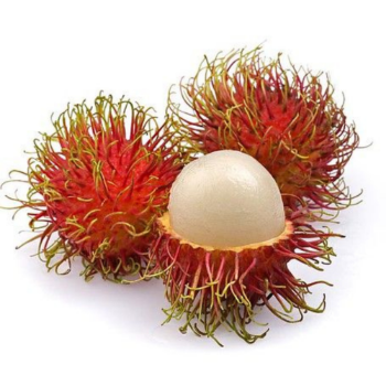 Passion Fruit Organic Healthy Haccp Professional Team Wholesales Fresh Customized Packaging Vietnamese Manufacturer 6