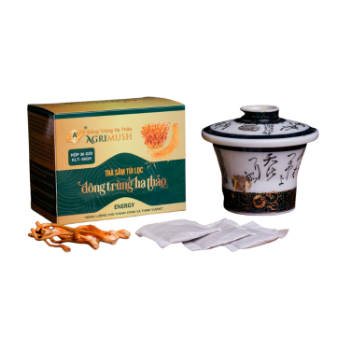 Ginseng And Cordyceps Tea Good Choose Good Health Agrimush Brand Iso Ocop Customized Packaging Made In Vietnam Manufacturer 2
