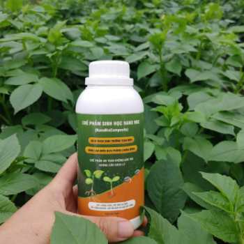 NBC Nano Composite Cheap Price Nano Chitosan 500ml Purity Agriculture Biological Fertilizer Bottle Made In Vietnam Manufacturer 4