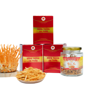 Raw Cordyceps Militaris Cordyceps Dried Precious Food Mix With Tea ISO Pack In Jar Made In Vietnam Manufacturer 3