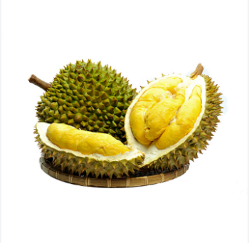 Cheap Price Nutritious Healthy Whole Fresh Durian For Sale From Vietnam - Supplier in Vietnam 4