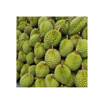 Fast Delivery Fresh Durian Ri6 Eat Directly Sweet And Fatty Taste Organic Packed In Box Vietnamese Manufacturer 6