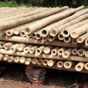 Packaging Custom Eco-Friendly Vietnam ODM OEM Service Bamboo Long Straight Pole For Decoration Good Price Raw Material Export Top Guaranteed Popular From Manufacturer 2