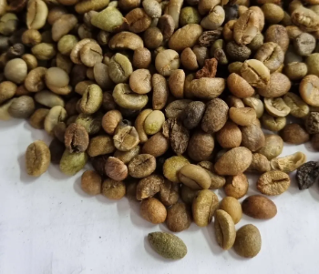 Raw Coffee Beans Robusta Coffee S18 - High ripening rate First Class Grade Good Price Natural No Preservatives Custom Packing From Vietnam Company  5