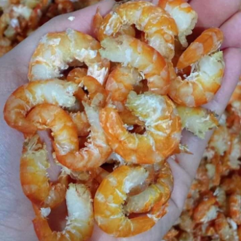 Dried Sea Shrimp All Organic No Sugar Dried Sea Shrimp Black Tiger Shrimp Frozen Shripms For Sale Best Selling 3