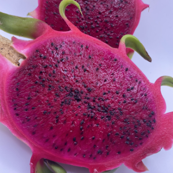 Tropical Fruit Dragon Fruit 100% Organic High Quality Ready To Ship Wholesales Fresh Carton Box From Vietnam Manufacturer 5