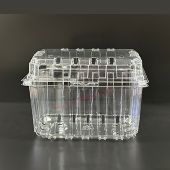 Pet Container Packaging Clamshell Plastic Fruit Eco Friendly Biodegradable Clear Boxes Disposable Made In Vietnam 4