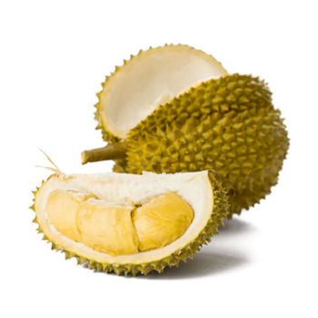 Wholesaler Fresh Durian Monthong Eat Directly Sweet And Fatty Taste Organic Packed In Box Vietnam Manufacturer 1