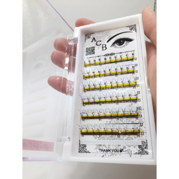 Thuy Ha Eyelashes Extension C curvature tray eyelashes with stones 0.15 12mm OEM ODM Service 2