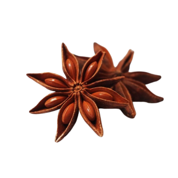 Made In Vietnam High Quality Autumn Dried Star Anise For Seasoning 100% Pure Star Anise High Quality Manufacturer Good Price 2