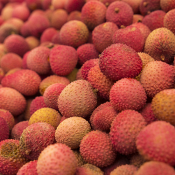 Fresh Lychee Fresh All Size Raw Crunchy Sweet Ingredients Vinagreen In Carton/ Mesh Vietnam Manufacturer 4