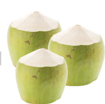 Fresh Green Coconut Premium Quality for Drinking and Cooking Wholesale Price from Viet Nam Manufacturer 1