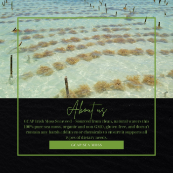 GCAP Sea Moss - Irish Moss - Sea Moss Raw Organic - Dried Sea Moss - Natural Wildcrafted Pure Non-GMO & Gluten-Free Sea Moss 4