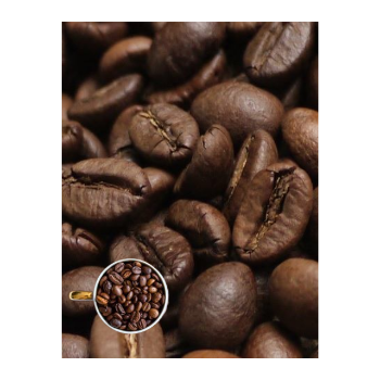 Wholesale Robusta Honey Coffee Beans Roasted Coffee Beans S18 Raw Bitterness Premium Vietnamese Caffeine Made In Vietnam 3