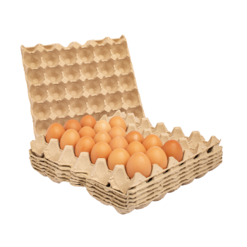 New Design Vietnam Egg tray 30 cells Hot selling paper pulp molding paper trayProduct customize Packaging Made In Vietnam 4