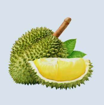 HIGH QUALITY FRESH DURIAN from VIETNAM Yellow Premium Tropical Style COLOR Cut Weight Origin Type Flesh Variety Size Grade ISO 6