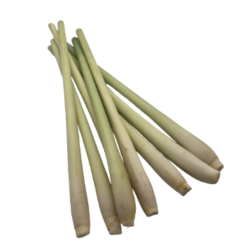 Lemongrass High Quality with HACCP Certificate Free Tax - Spices and Herbs Lemon Grass Best Price From VietNam 2