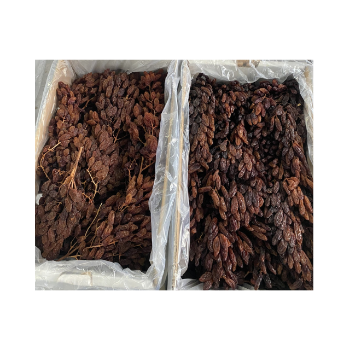 For OEM ODM Service Dried Grapes Top Quality Manufacturer From Australian Raisin Raisin Grape Raisin Drying Packaging In Vietnam