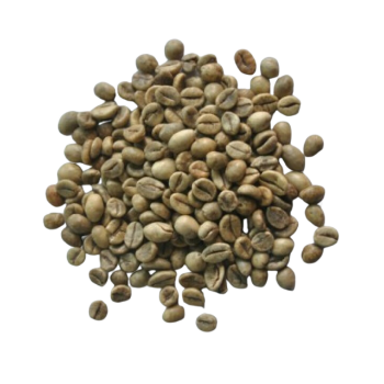 Robusta Green Coffee Beans Premium Vietnamese 85% Maturity Green Bean Coffee Raw Bitterness Caffeine Made In Vietnam 2