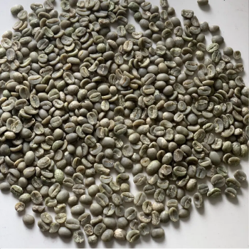 Arabica FW L3 S16+ Raw Coffee Beans First Class Good Choice Natural Using For Making Food And Beverage No Additives 5