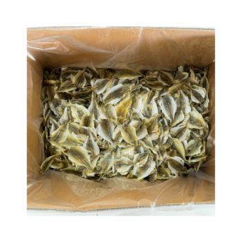 Oven For Drying Fish Yellow Croaker Fish Best Selling Export Ly Huynh Tasty Vacuum Pack From Vietnam Manufacturer 1