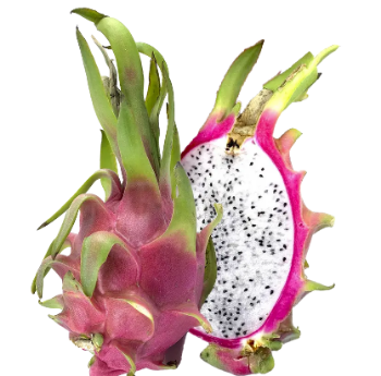 Tropical Dragon Fruit Best Choice Sweet Making Food Bulksales Carton Box Plastic Wrap From Vietnam Manufacturer 5