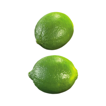 Fast Delivery Lime Without Seed Keep Cool Or Refrigerated Green And Pale Yellow Organic Packed In Box Vietnam Manufacturer 1