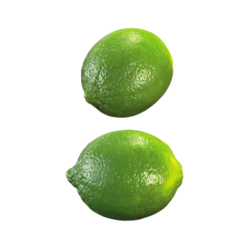 Fast Delivery Lime Without Seed Keep Cool Or Refrigerated Green And Pale Yellow Organic Packed In Box Vietnam Manufacturer