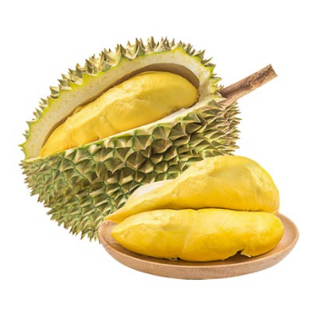 Durian Fresh Hot SellingTropical Fruit Using For many purposes TCVN packing in carton Asian Manufacturer 12