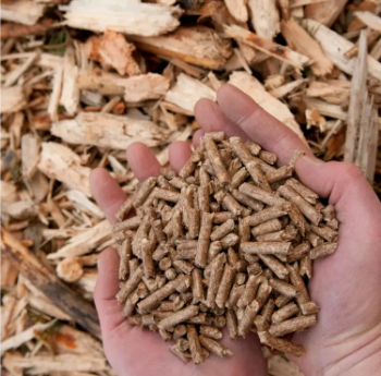 A1 A2 6MM 8MM 10MM High Quality Biomass Burners Bamboo Wood Pellet Wholesale Wood Pellets From VietNam Manufacturer 4