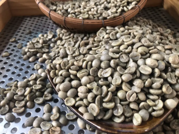 Arabica FW L3 S18 Coffee Raw Coffee Beans Hot Selling Purity Using For Making Food And Beverage No Preservatives 3