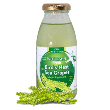 Bird Nest Drink High Quality Rock Sugar Puree Mitasu Jsc Carton Box From Vietnam Manufacturer 7