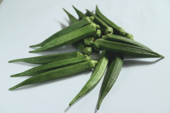 Vegetables Fresh Okra High Quality Natural Taste Using for many purposes TCVN packing in carton Vietnam Manufacturer 1