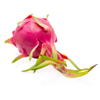 100% Natural Hot Selling Sweet Fresh Dragon Fruit From Supplier In Vietnam Competitive Price Ready Export Vietnam Manufacturer 2