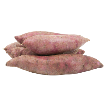 Sweet Potato Reasonable Price natural taste using for many purposes TCVN packing in carton Made in Vietnam Manufacturer 4